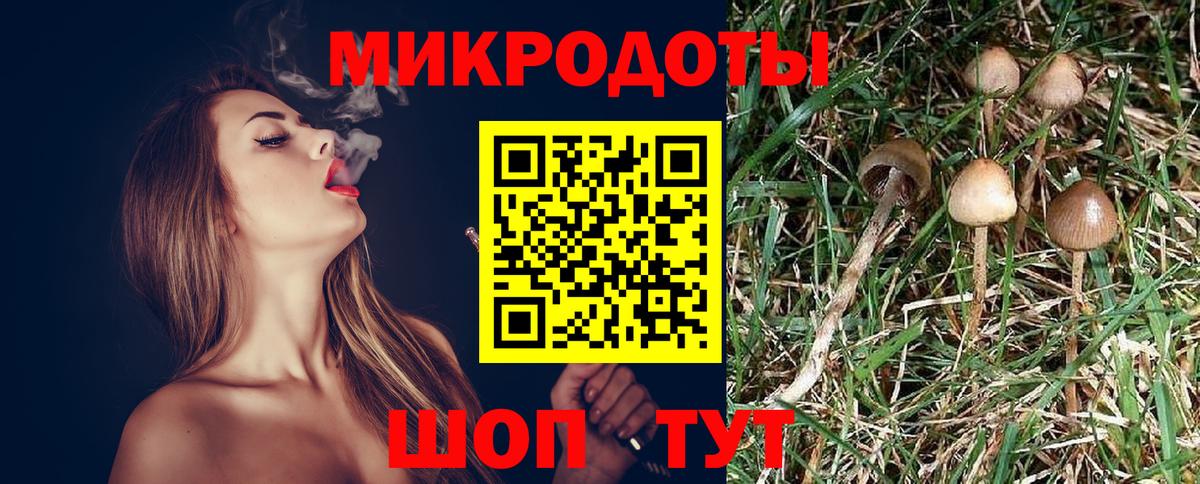 Реутов  Псилоцибиновые грибы ЛСД  Псилоцибиновые грибы Magic Shrooms  Вход с VPN 
